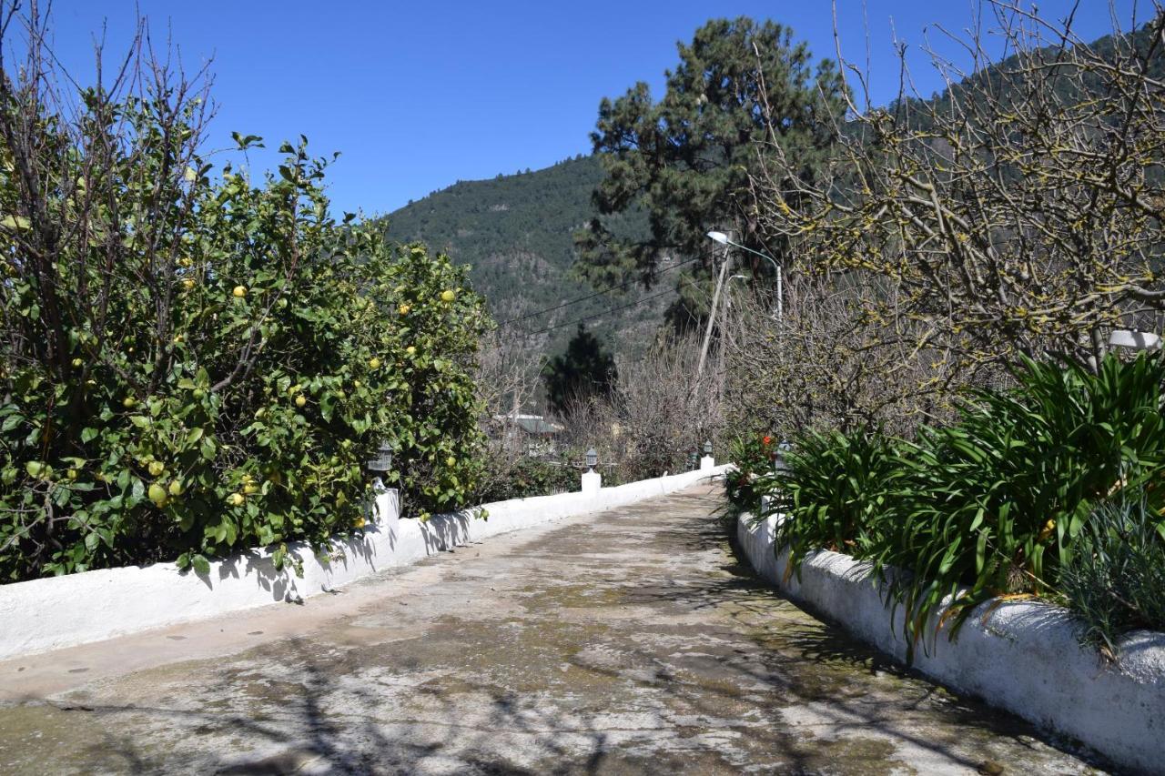 Casa Rural Juli Santa Cruz de Tenerife Eksteriør billede